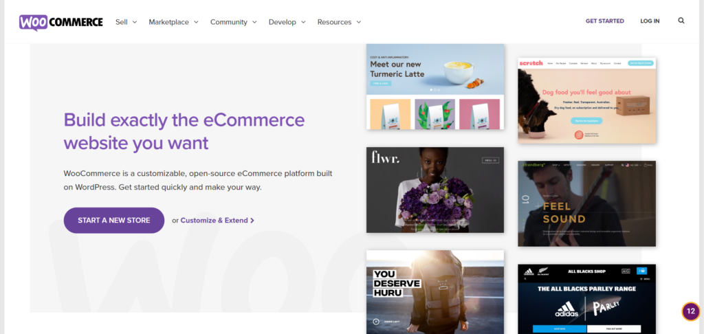 Best Ecommerce Platform, Software for eCommerce