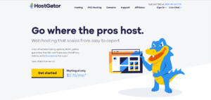 best-web-hosting-provider- (2)