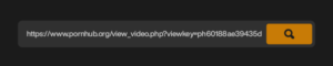 PHub-Downloader-Download-PornHub-Video-Free_kj578ghs67gh